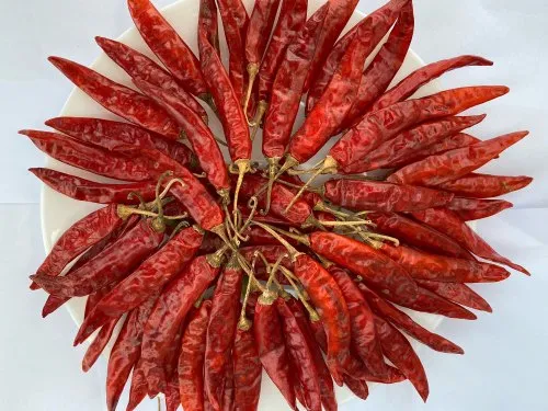 Guntur Sannam Dry Red Chilli Exporter in Morbi